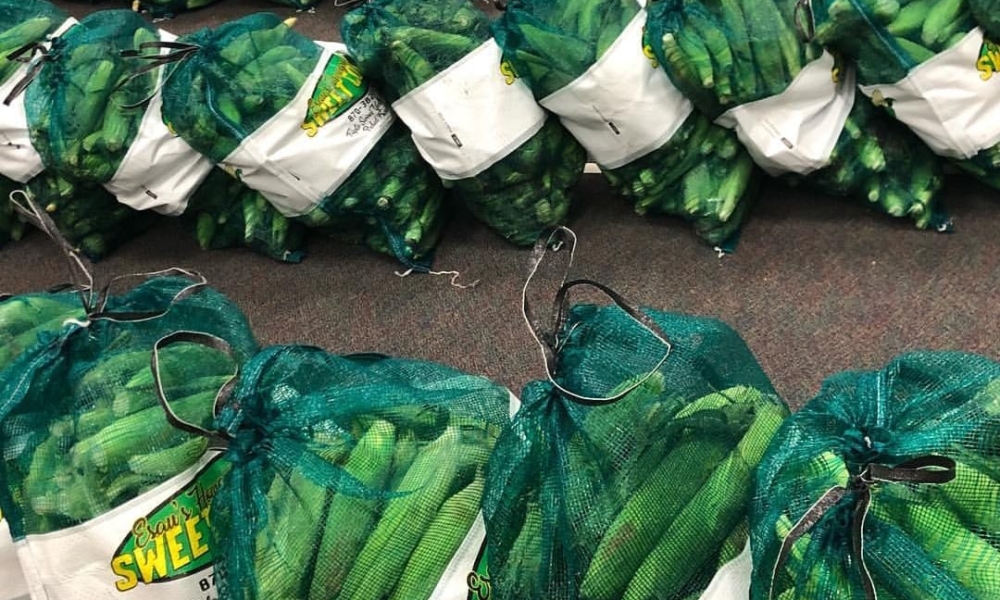 Screenshot_20180913-115108_Instagram