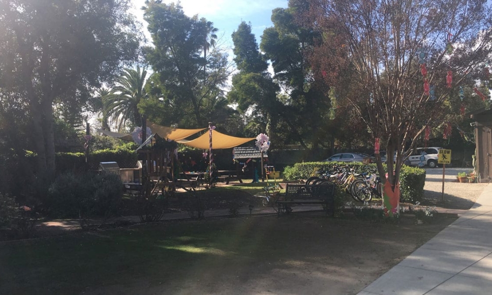 Combined-Pickerington-Bands-07