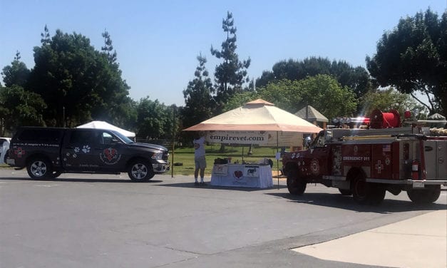 Creekwood Community Fair