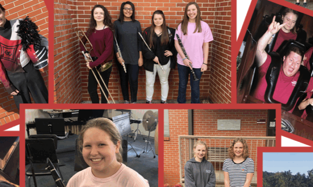 Free Beginner Program